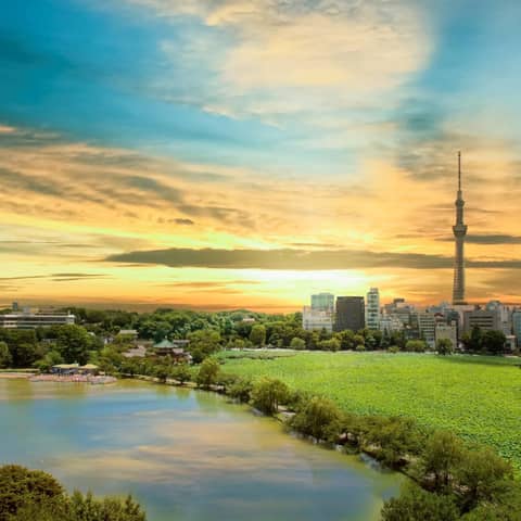 【ディナー婚】お得に叶えるナイトウエディング