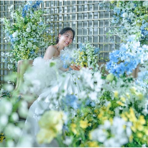 【27年3月〜5月 春婚】スプリングプラン*桜彩る人気シーズン