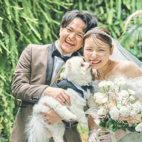 【ペットご褒美ごはん付き】50名213万*ペットプラン