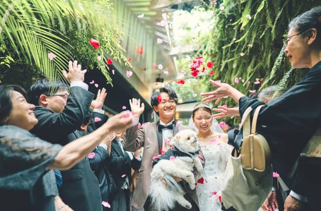 【公式】Angepatio(アンジェパティオ)|東京 渋谷のレストランウエディング