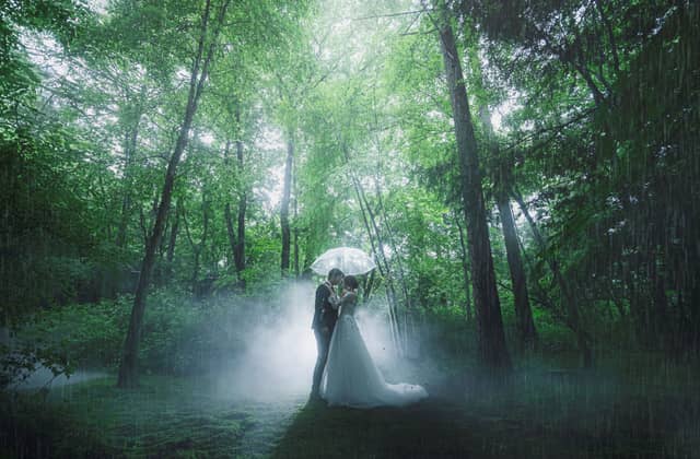 【公式】アネーリ軽井沢(ANELLI KARUIZAWA)| 長野県・軽井沢の結婚式場