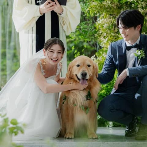 【愛犬と一緒のウェディング】<30名153万/50名182万>