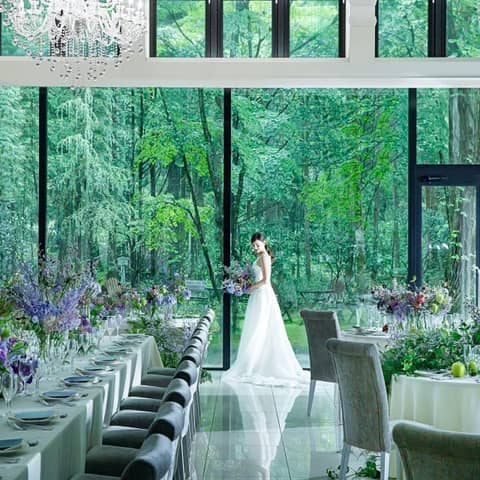 入院・台風 まさかのキャンセルに備えて【保険付きプラン】