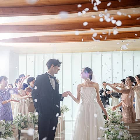 【2026年9月まで】50名230万円→173万円!リニューアル記念