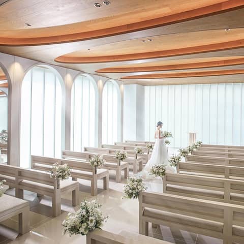 【2026年10月~12月】50名230万円→182万円!秋冬プラン