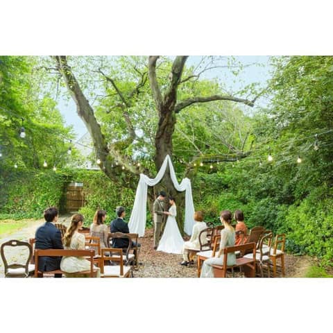 【26年9月~10月式】最大95万円プレゼント!新緑×紅葉の贅沢W