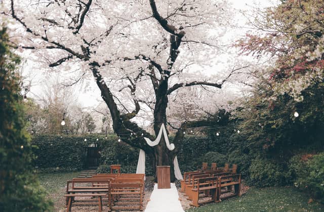 三橋の森ウエディング ラ・クラリエール