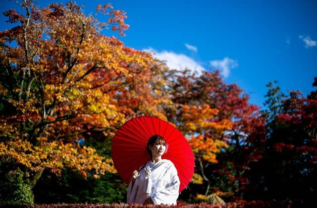 世界文化遺産 日光東照宮結婚式【公式】