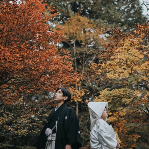 【2025年10月〜11月挙式】紅葉が色づく秋婚プラン|写真付