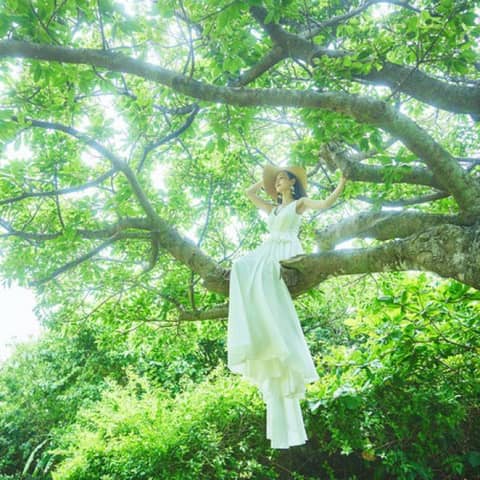 新春限定!My journey plan(3時間プラン)最大15%オフ