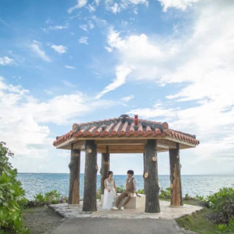 My journey plan(ライトプラン)