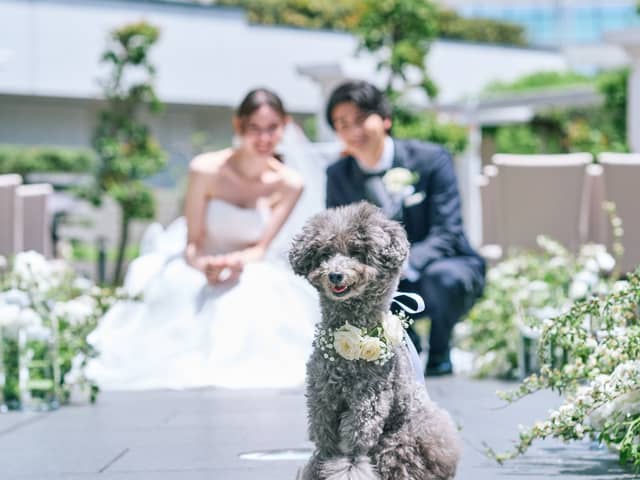 横浜ベイホテル東急　THE YOKOHAMA BAY HOTEL TOKYU 