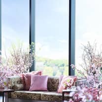 LUCIS WEDDING |スカイツリーが一望できる結婚式