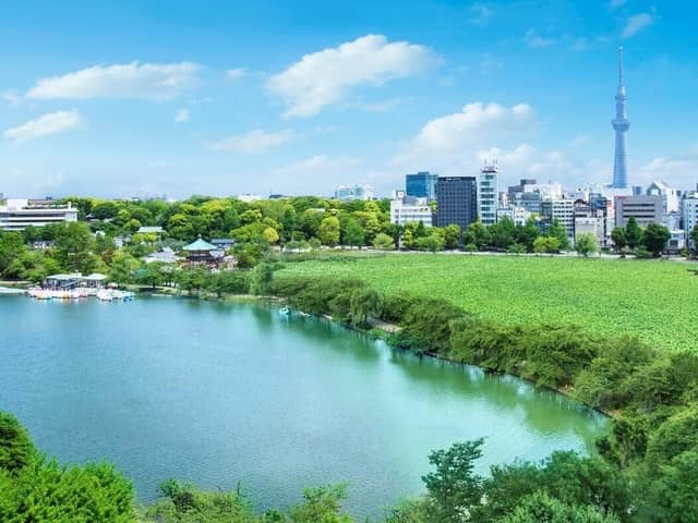 LUCIS Tokyo WEDDING ｜スカイツリーが一望できる結婚式