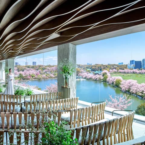 【27年3月〜5月 春婚】スプリングプラン＊桜彩る人気シーズン