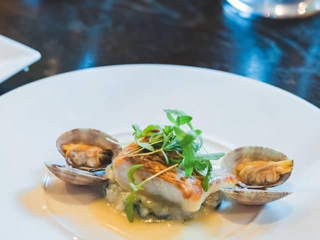 PAVILION COURT(パビリオンコート)