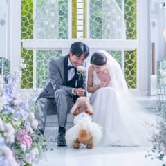 【4カ月以内・各月2組限定】パパママ＆マタニティ婚 80名232万円