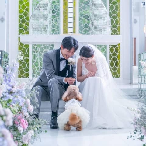 【4カ月以内・各月2組限定】パパママ＆マタニティ婚 80名232万円