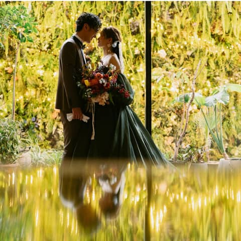 【50名229万円】2026年6,7,8月☆晴天率◎Summerプラン