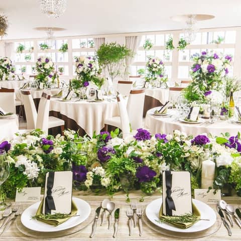 【わんこご褒美ごはん付き】50名213万*直近8ヶ月*わんこプラン