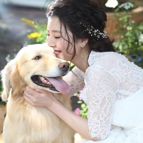 【わんこと挙げる結婚式】選べる特典付き *愛犬全館OKプラン