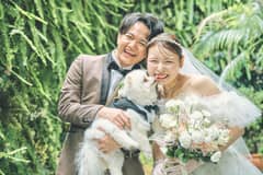 【ペットご褒美ごはん付き】50名213万*ペットプラン