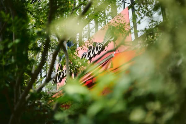 【公式】Angepatio(アンジェパティオ)|東京 渋谷のレストランウエディング