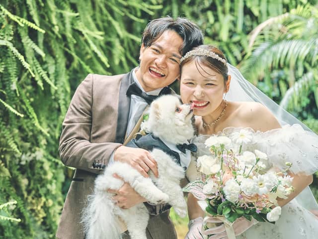 【公式】Angepatio(アンジェパティオ)|東京 渋谷のレストランウエディング