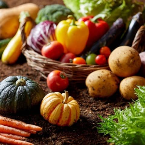 【26年9-11月】＜40名195万/50名212万＞紅葉の秋プラン