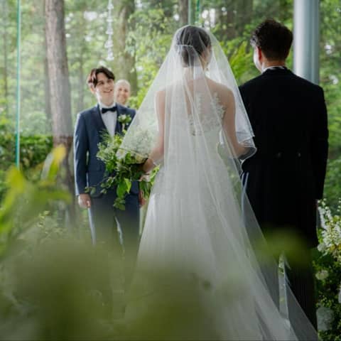 【27年4-6月】＜40名196万/50名214万＞新緑の春フルパック