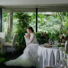 【27年4-6月】＜60名249万/70名268万＞新緑の春フルパック