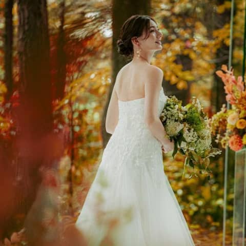 【26年9-11月】＜40名196万/50名214万＞美食の秋プラン