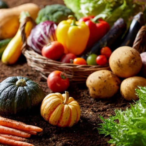 【25年9-11月】＜40名158万/50名170万＞紅葉の秋プラン