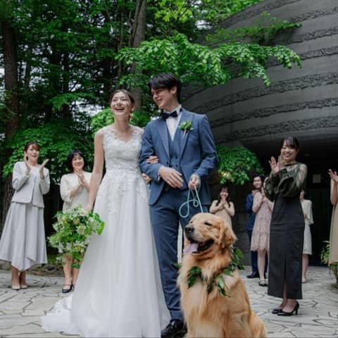 【愛犬と一緒のウェディング】＜30名153万/50名182万＞