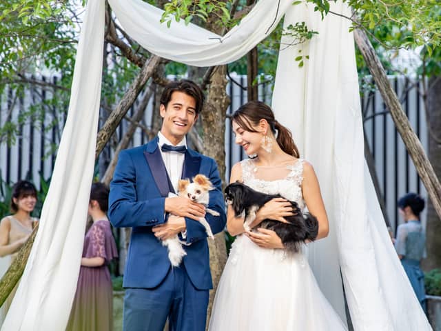 【公式】アネーリ軽井沢（ANELLI KARUIZAWA）| 長野県・軽井沢の結婚式場