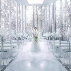 【26年12-27年3月】60名193万/80名216万 ホワイトWD