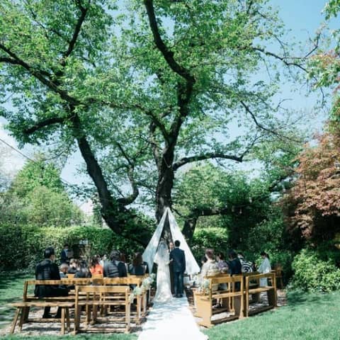 ペット婚*最大70万優待◎天然芝でペットも安心プラン