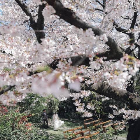 【ALL貸切前撮りプラン】洋装撮影1時間＊お写真データ付き*。