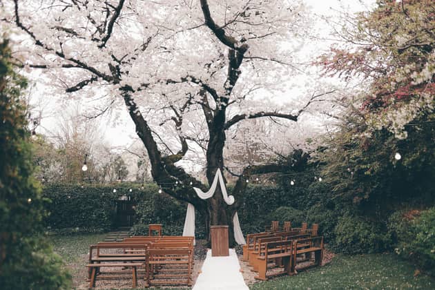 三橋の森ウエディング ラ・クラリエール