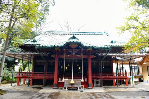 縁結びの神様に見守られ、都会の杜に雄大に佇む緑豊かな「赤坂氷川神社」