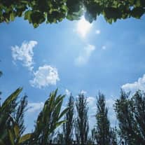 【公式】アネーリ大宮 | 埼玉県・大宮の結婚式場