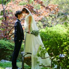 【26年3-6月】<30名125万/40名148万>新緑の春フルパック