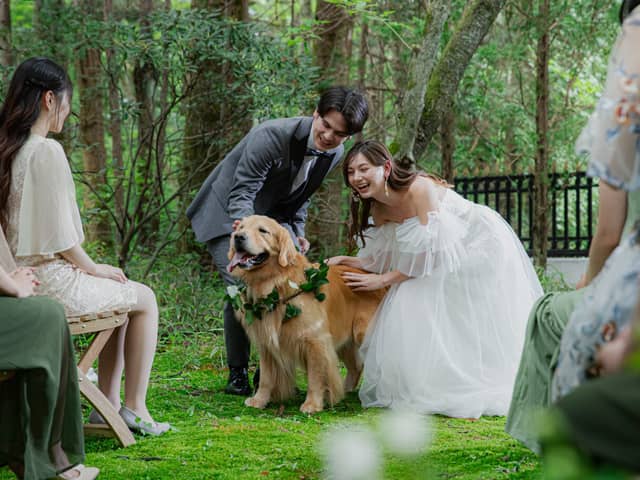 【公式】アネーリ大宮| 埼玉県・大宮の結婚式場