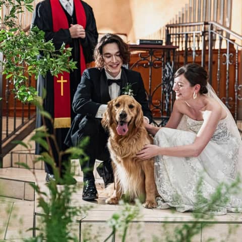 【公式】アネーリ大宮 | 埼玉県・大宮の結婚式場