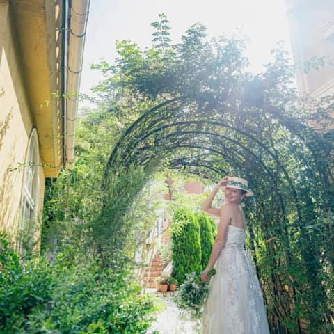 【26年7-8月】<50名166万/60名175万>青空の夏プラン